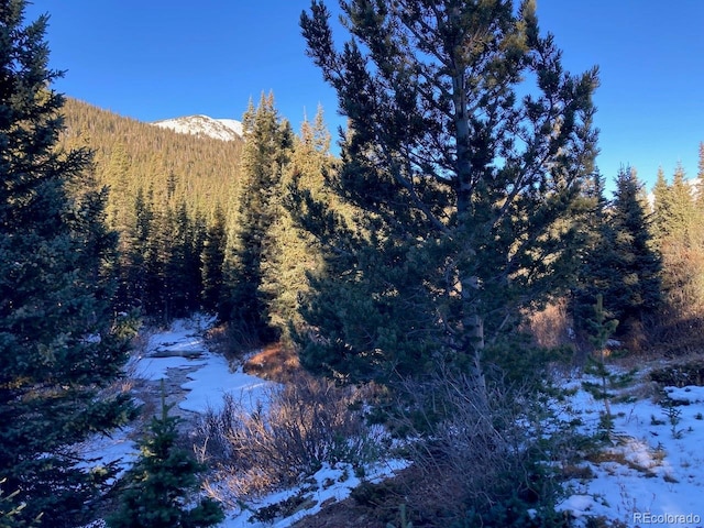 4400 4th Of July Rd, Nederland, CO 80466