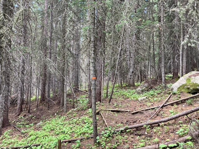 4400 4th Of July Rd, Nederland, CO 80466