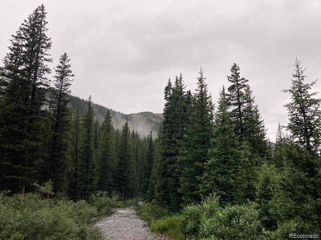 4400 4th Of July Rd, Nederland, CO 80466