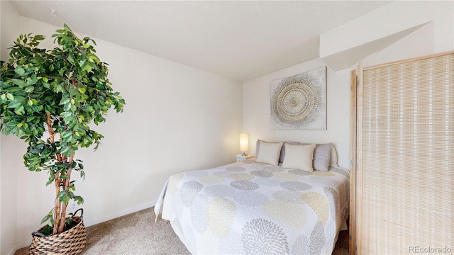 8701 Huron St Unit 1-207, Thornton, CO 80260 - bedroom featuring carpet and baseboards