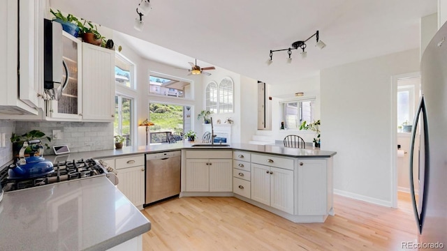 kitchen with appliances with stainless steel finishes, track lighting, a ceiling fan, and light wood-style floors