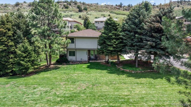 view of green lawn