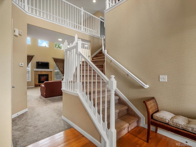 3481 Vestal Loop, Broomfield, CO 80023 - photo 7