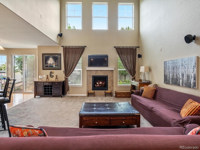 3481 Vestal Loop, Broomfield, CO 80023 - photo 11