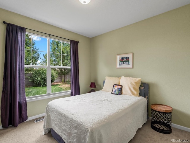3481 Vestal Loop, Broomfield, CO 80023 - photo 19