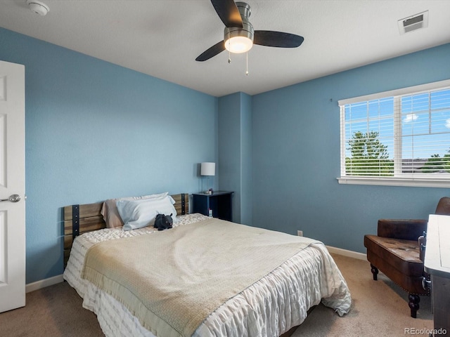 3481 Vestal Loop, Broomfield, CO 80023 - photo 28