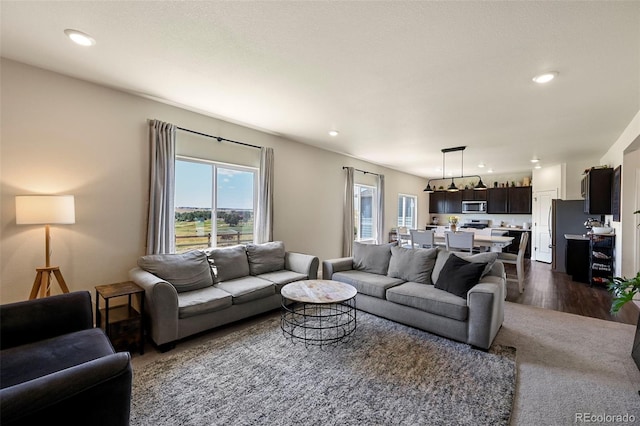 living room featuring hardwood / wood-style flooring