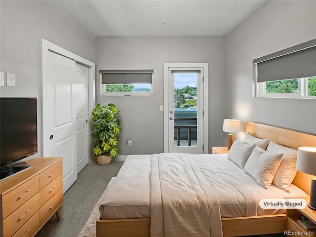 1245 Utica St Unit 104, Denver, CO 80204 - bedroom with multiple windows, access to exterior, wood finished floors, and a closet