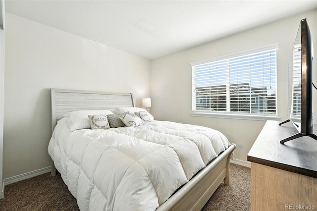 2567 Cutters Cir Unit 101, Castle Rock, CO 80108 - carpeted bedroom featuring baseboards