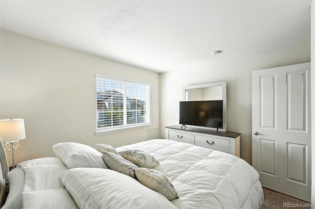 2567 Cutters Cir Unit 101, Castle Rock, CO 80108 - bedroom with dark carpet