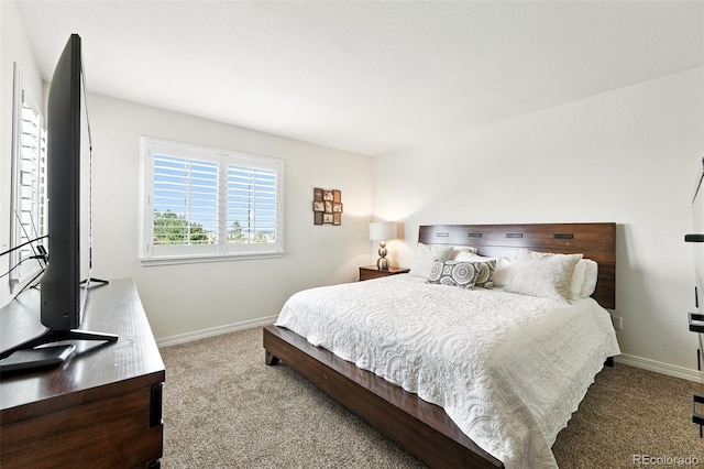 2567 Cutters Cir Unit 101, Castle Rock, CO 80108 - bedroom with carpet flooring