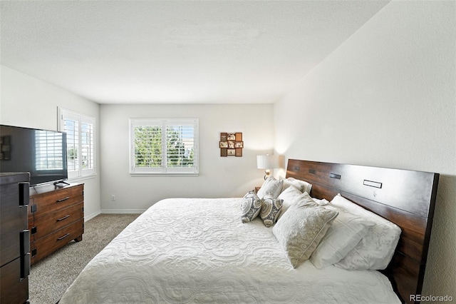 2567 Cutters Cir Unit 101, Castle Rock, CO 80108 - carpeted bedroom with baseboards