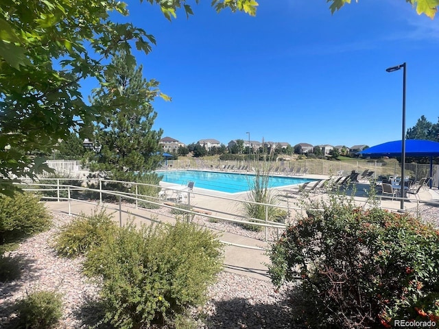 2567 Cutters Cir Unit 101, Castle Rock, CO 80108 - community pool featuring a patio area