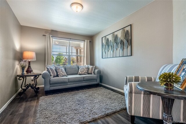 123 Blue Stem St, Brighton, CO 80601 - living area with baseboards and wood finished floors