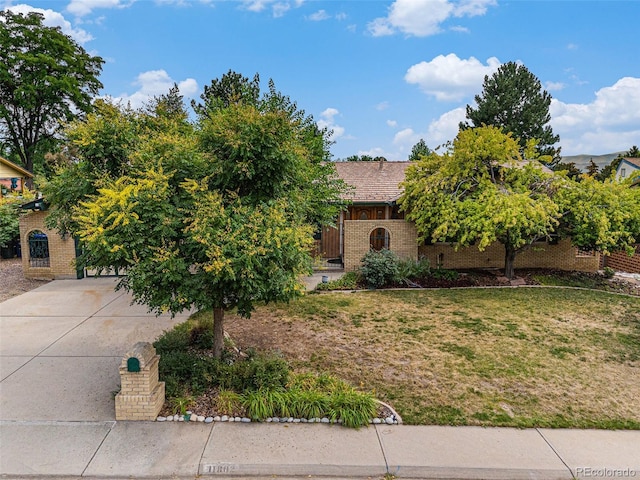11802 W 77th Dr, Arvada, CO 80005 - photo 41