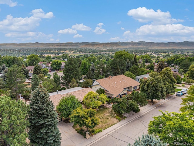 11802 W 77th Dr, Arvada, CO 80005 - photo 43