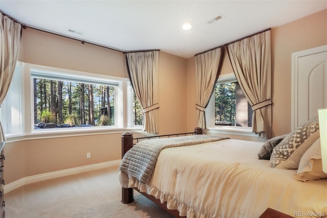 16092 Waving Branch Way, Colorado Springs, CO 80908 - carpeted bedroom featuring baseboards and recessed lighting