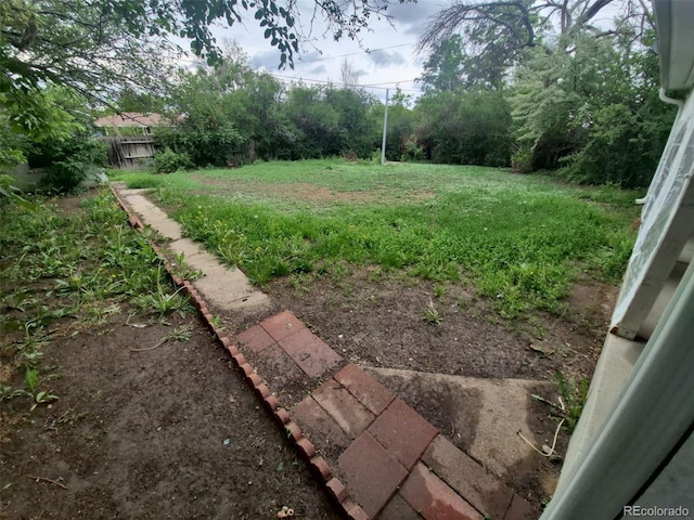 387 Tucson St, Aurora, CO 80011 - view of yard
