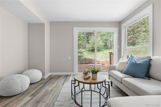 2025 Alliance Dr, Georgetown, CO 80444 - photo 16