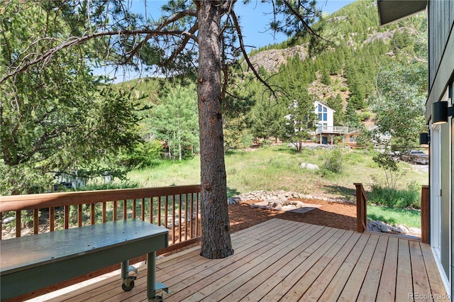 2025 Alliance Dr, Georgetown, CO 80444 - photo 41