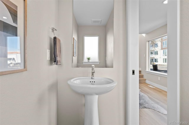 bathroom featuring hardwood / wood-style flooring