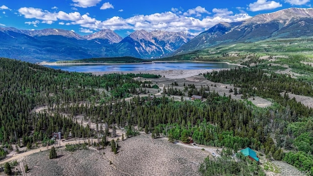 1385 County Road 24, Twin Lakes, CO 81251 - photo 1