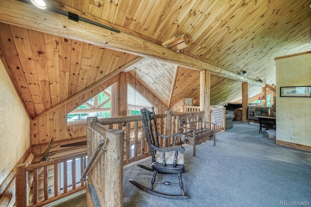 1385 County Road 24, Twin Lakes, CO 81251 - photo 29