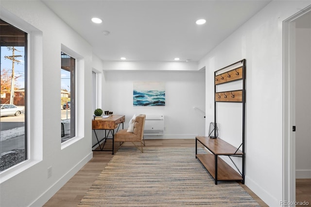 interior space featuring light hardwood / wood-style floors