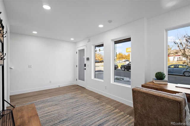 foyer entrance featuring hardwood / wood-style floors and a wealth of natural light