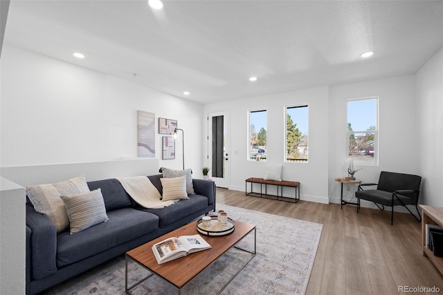 living room with light wood-type flooring