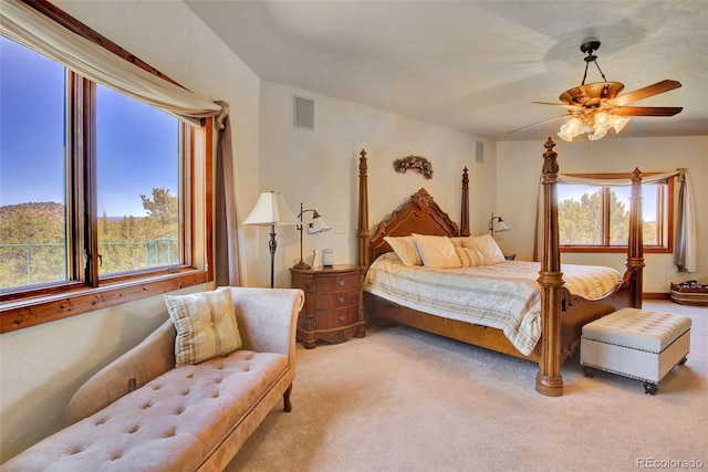 400 Copper Canyon Rd, Canon City, CO 81212 - photo 28