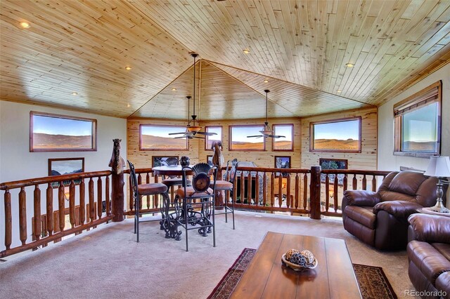 400 Copper Canyon Rd, Canon City, CO 81212 - photo 39