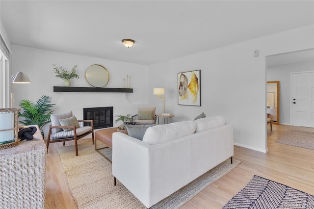 4650 S Idalia St, Aurora, CO 80015 - living room with wood finished floors, a fireplace, and baseboards