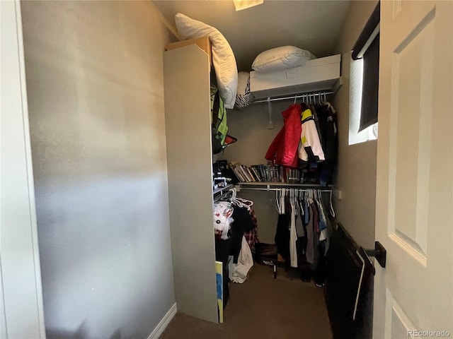 view of spacious closet