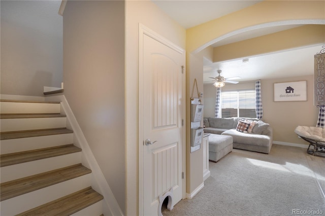 staircase featuring carpet and ceiling fan