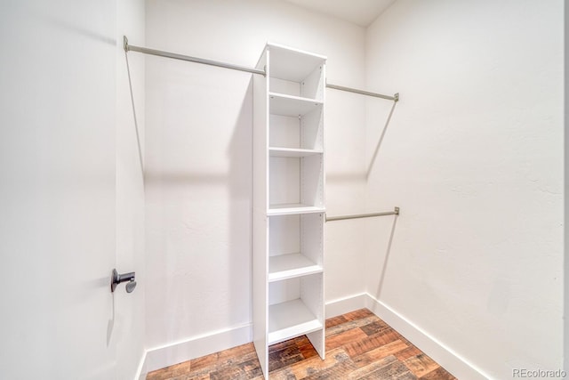 walk in closet with wood-type flooring