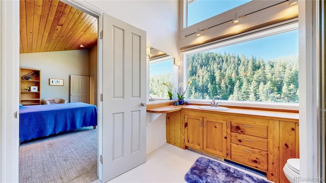 2602 Hidden Valley Rd, Sedalia, CO 80135 - bathroom with ensuite bathroom, lofted ceiling, and wooden ceiling