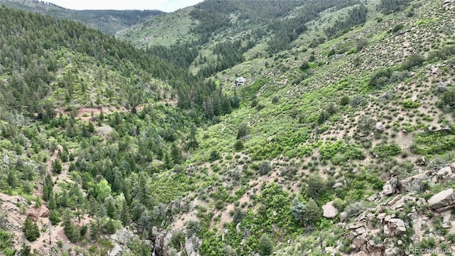 2602 Hidden Valley Rd, Sedalia, CO 80135 - view of mountain background with a forest
