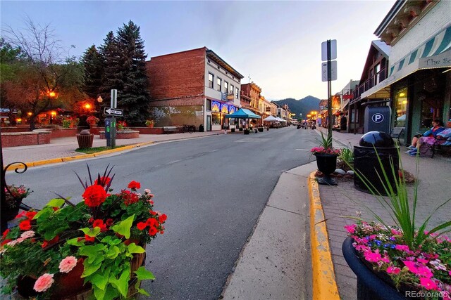 1520 Virginia St, Idaho Springs, CO 80452 - photo 19