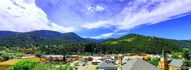 1520 Virginia St, Idaho Springs, CO 80452 - photo 22