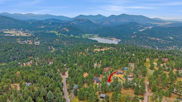 27225 Mountain Park Rd, Evergreen, CO 80439 - photo 36