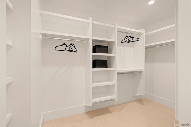 2610 N Monroe St, Denver, CO 80205 - walk in closet featuring carpet flooring