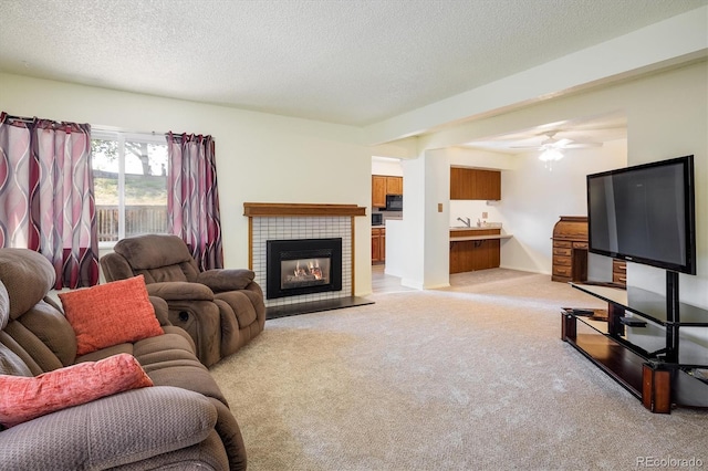 11779 Lincoln St, Northglenn, CO 80233 - photo 5
