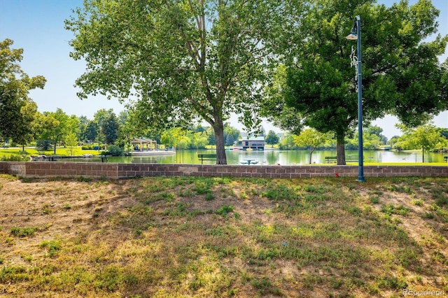 11779 Lincoln St, Northglenn, CO 80233 - photo 20