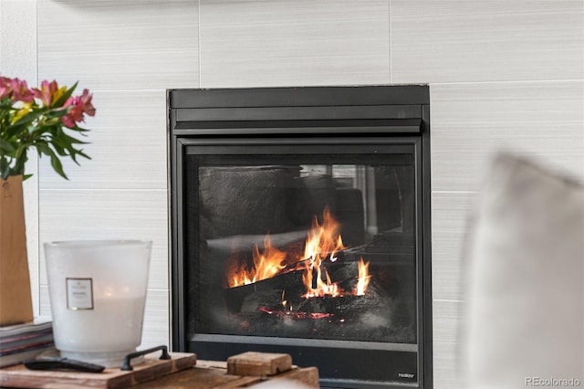 details featuring a glass covered fireplace
