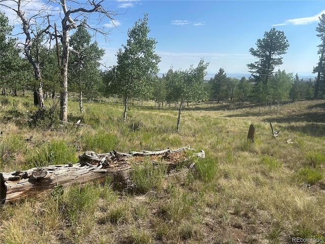 3361 Singletree Rd, Hartsel, CO 80449 - photo 1