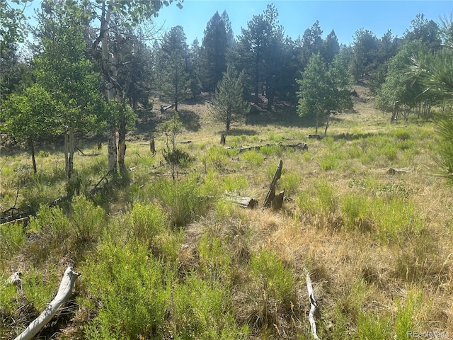 3361 Singletree Rd, Hartsel, CO 80449 - photo 3