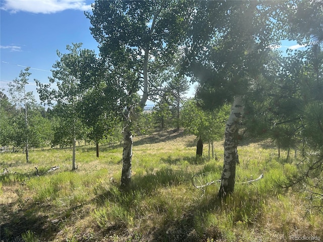 3361 Singletree Rd, Hartsel, CO 80449 - photo 4