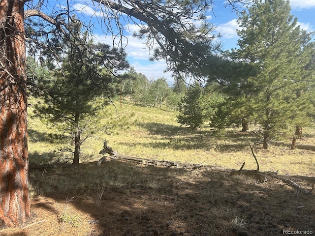3361 Singletree Rd, Hartsel, CO 80449 - photo 5