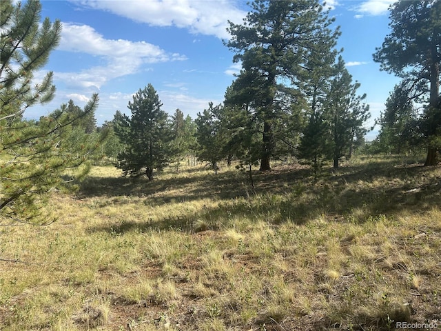 3361 Singletree Rd, Hartsel, CO 80449 - photo 7